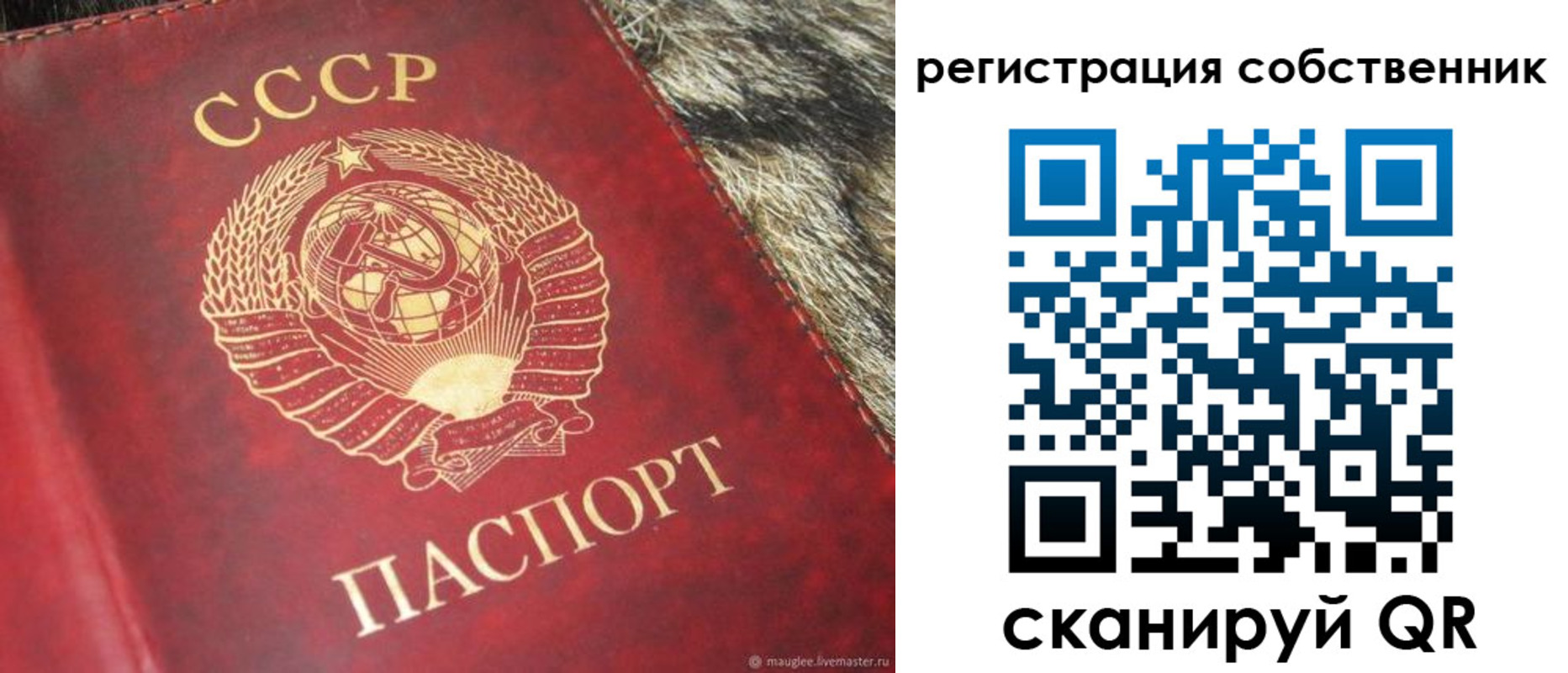 временная регистрация надежно в Курской области