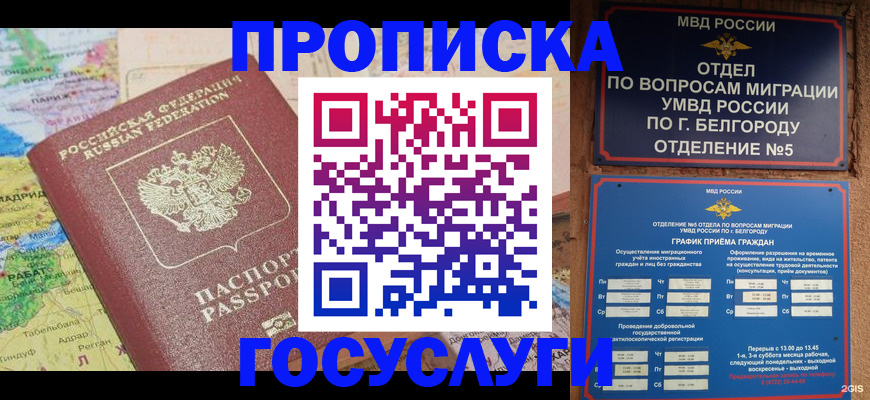 прописка регистрация в Курской области